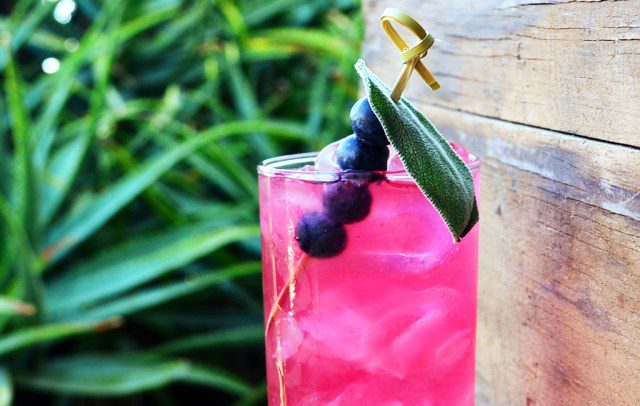 Beauregards Berry Tequila Cocktail