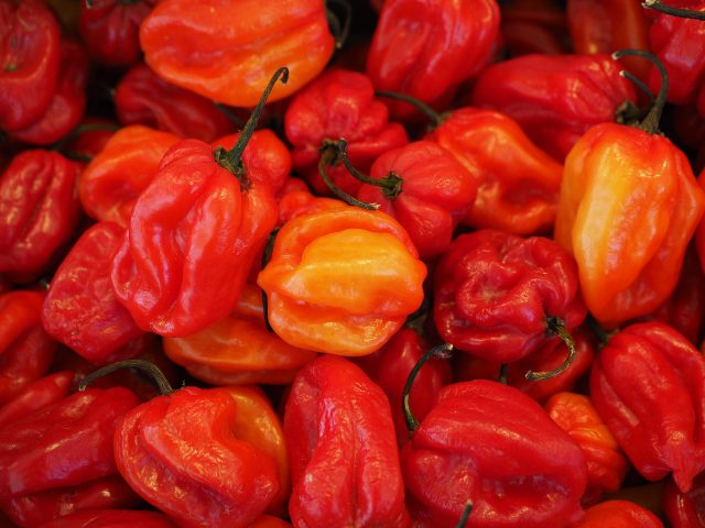 Habaneros