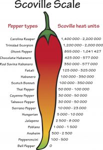 Scoville pepper heat scale vector