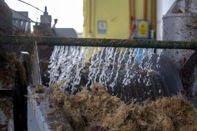 Water in Tequila Production