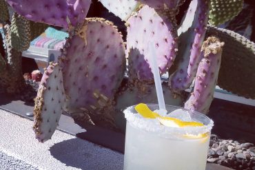 The Azuñia Organica - Places to Drink in Phoenix AZ