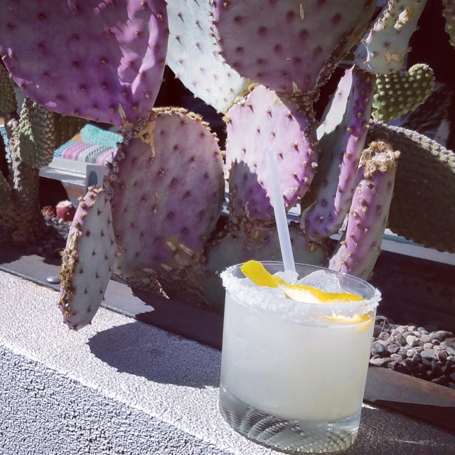 The Azuñia Organica - Places to Drink in Phoenix AZ